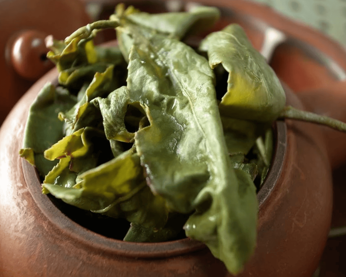 【梨山】烏龍茶